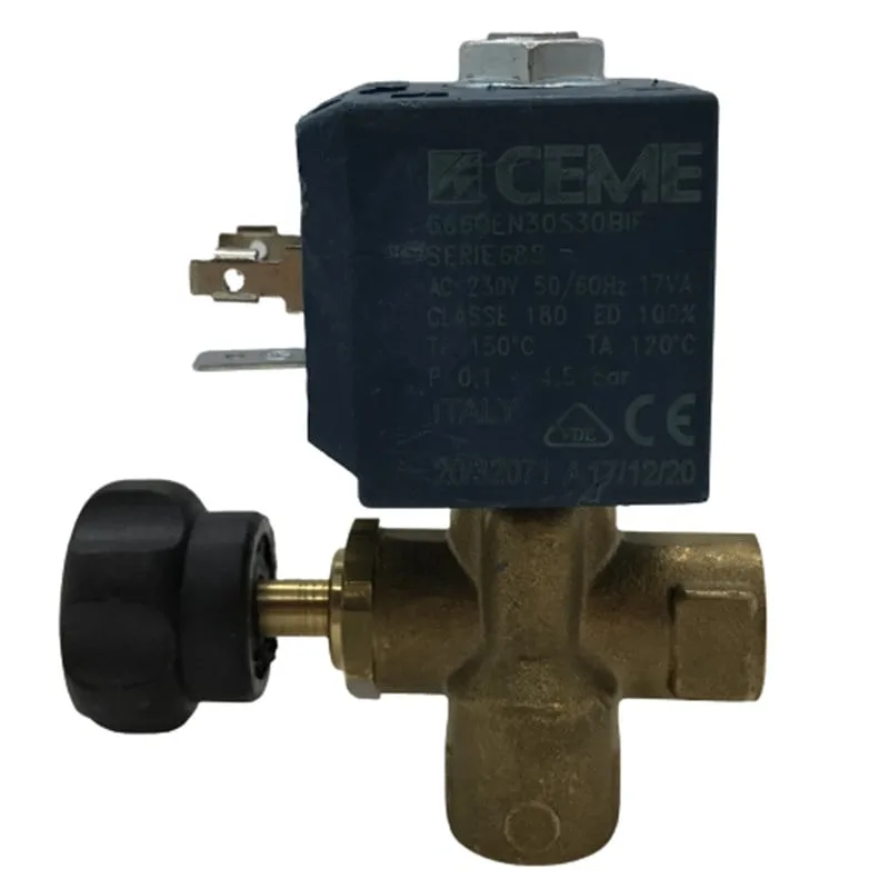 Ütü Solenoid Valf 1/4 (Ayarlı) / 6660 (TY 7000/G) — görsel 1