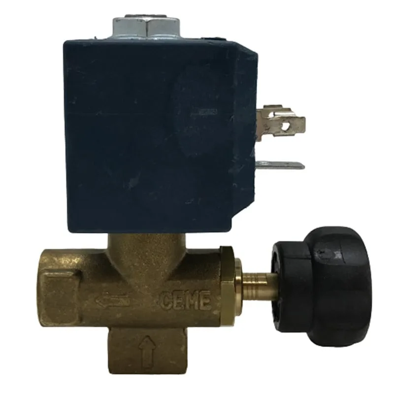 Ütü Solenoid Valf 1/4 (Ayarlı) / 6660 (TY 7000/G) — görsel 5